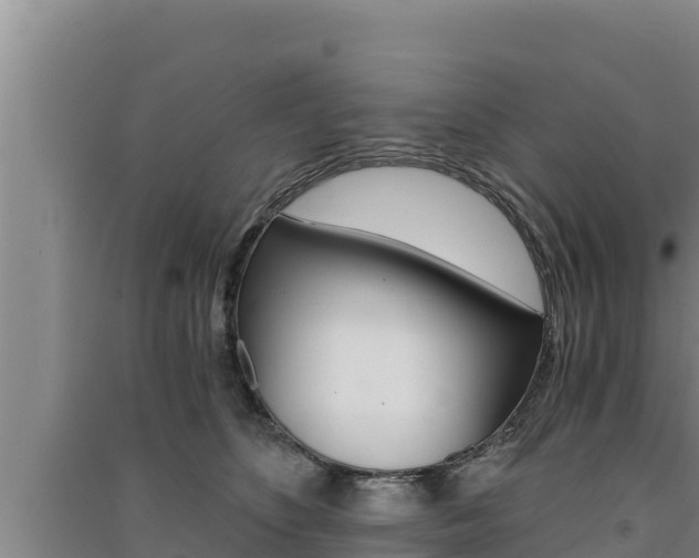 X0000091520516200708171012