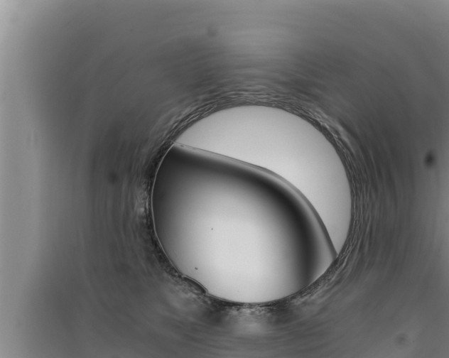 X0000091520517200708171012