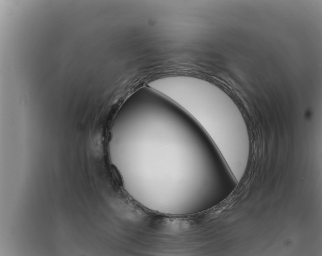 X0000091520520200708171012
