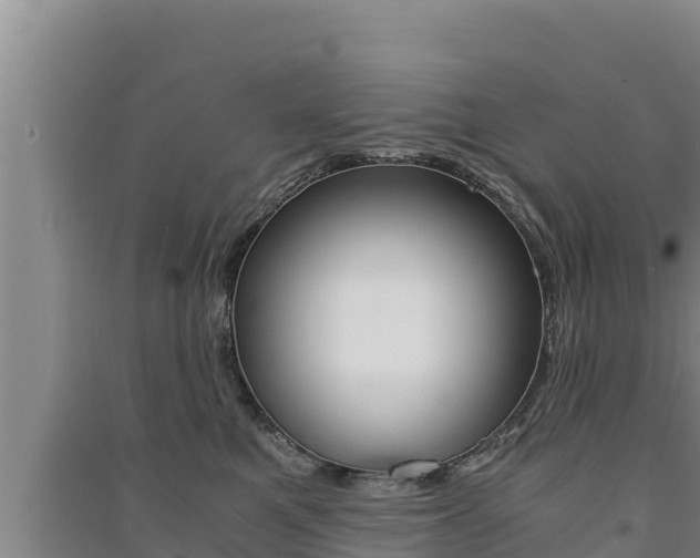 X0000091520521200708171012