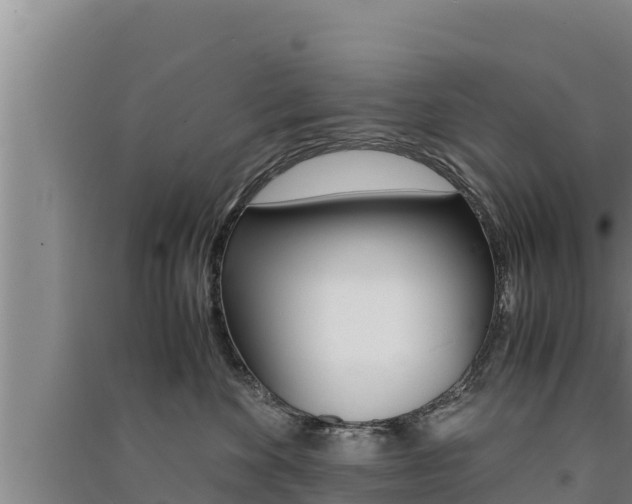 X0000091520524200708171012