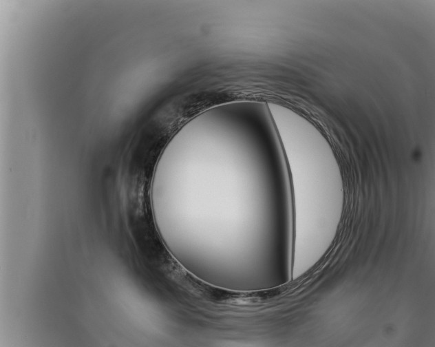 X0000091520525200708171012