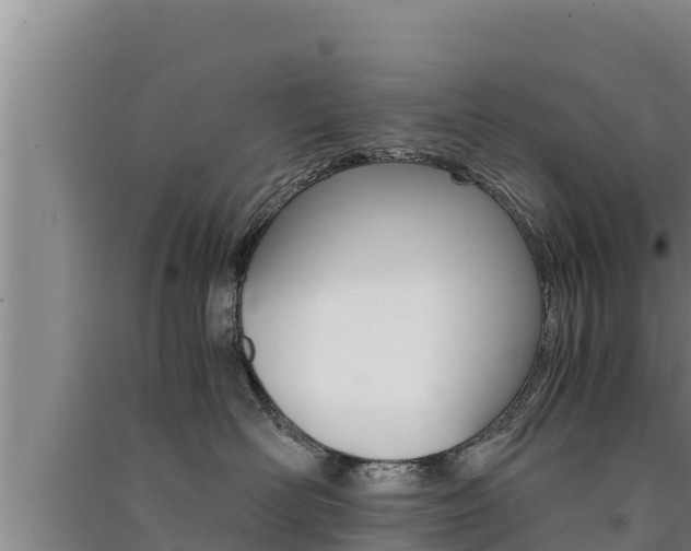 X0000091520526200708171012