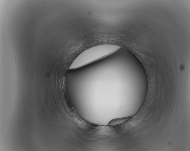X0000091520528200708171012
