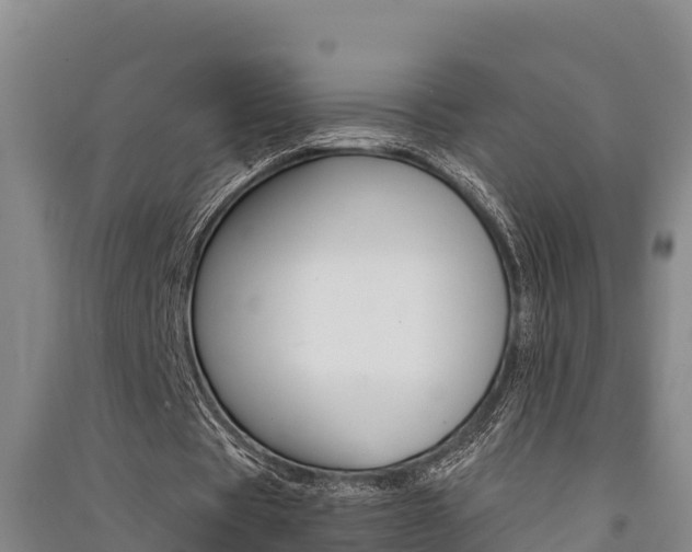 X0000091520529200708171012