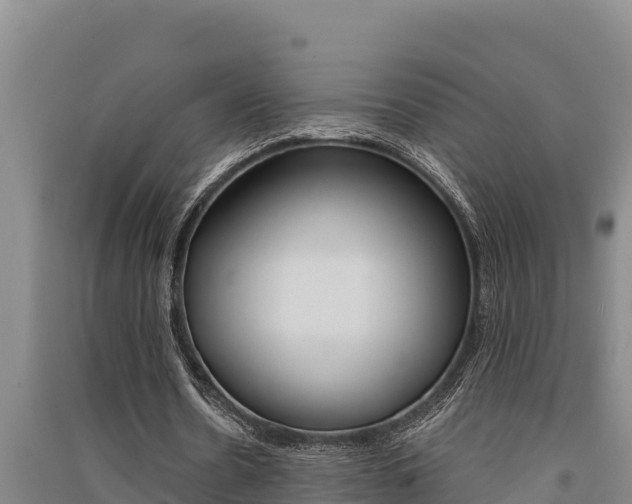 X0000091520530200708171012