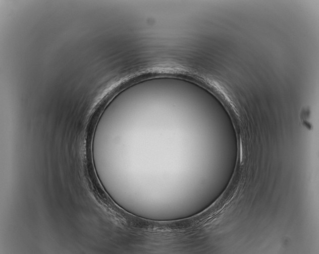 X0000091520531200708171012