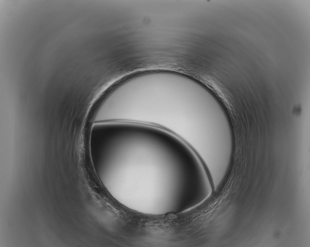 X0000091520532200708171012
