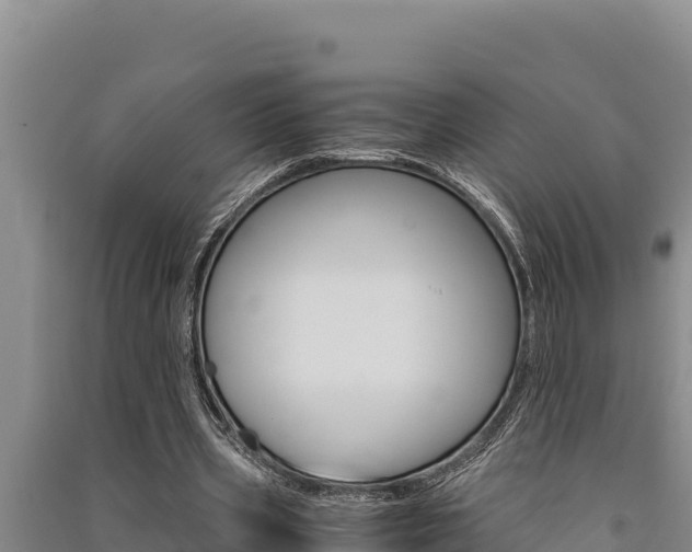 X0000091520533200708171012