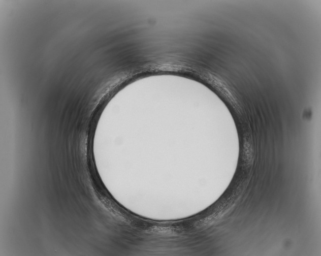 X0000091520534200708171012