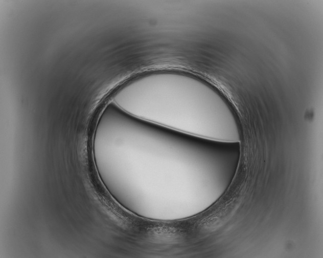 X0000091520535200708171012