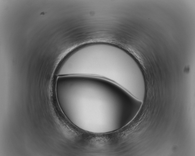 X0000091520536200708171012