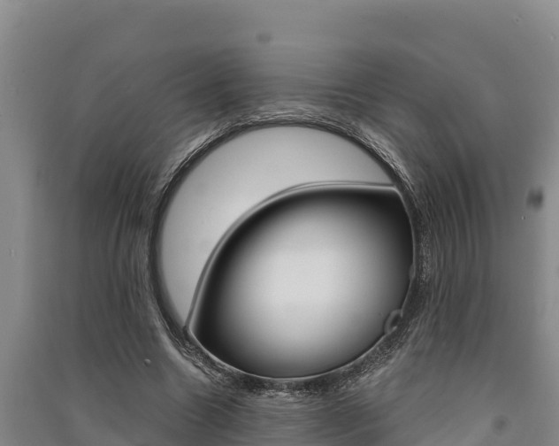 X0000091520538200708171012