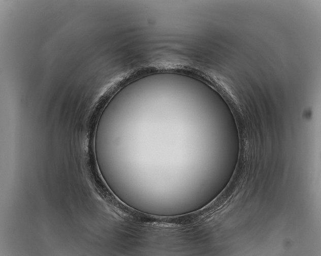 X0000091520539200708171012