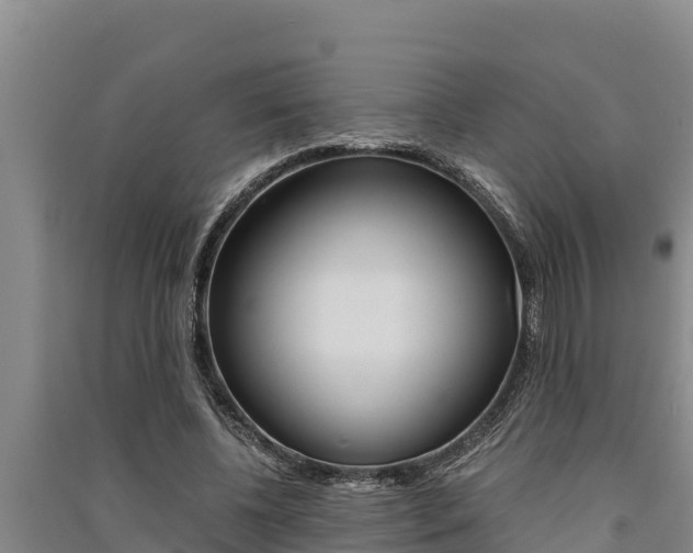 X0000091520540200708171012