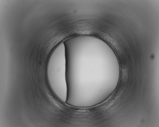 X0000091520541200708171012
