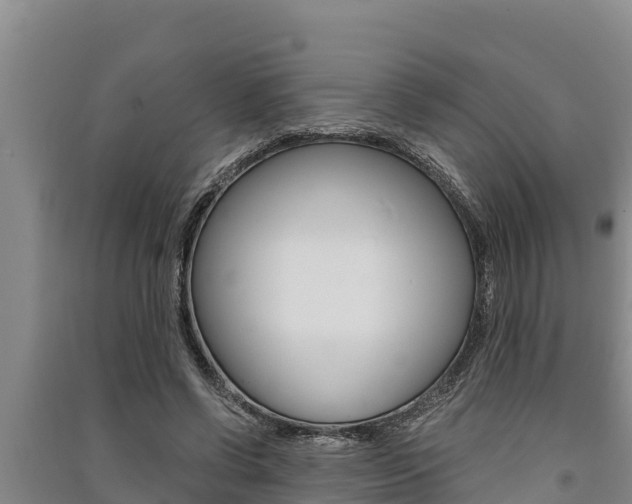 X0000091520542200708171012
