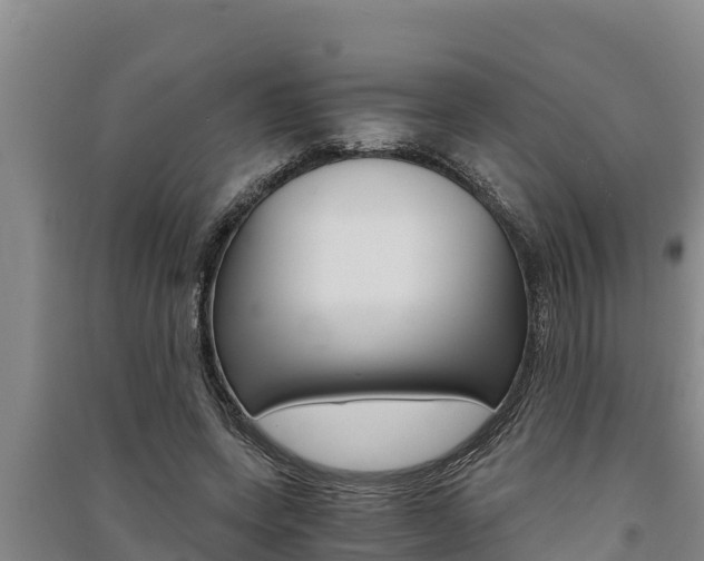 X0000091520543200708171012