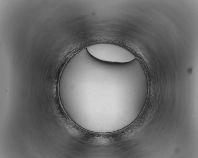 X0000091520545200708171012