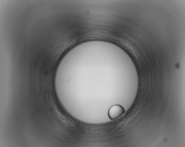 X0000091520546200708171012