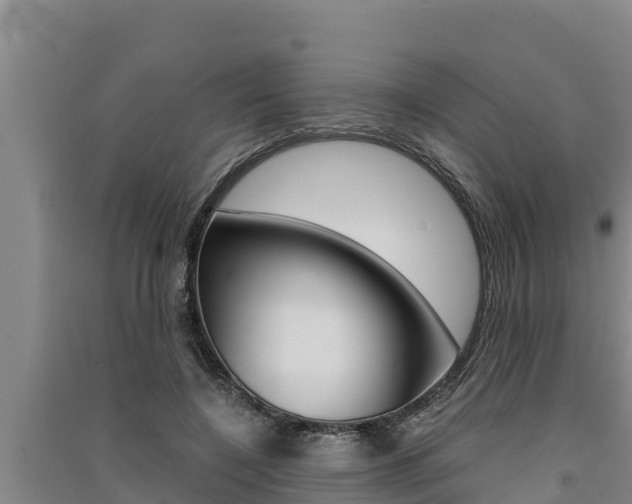 X0000091520548200708171012
