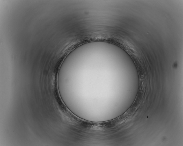 X0000091520550200708171012