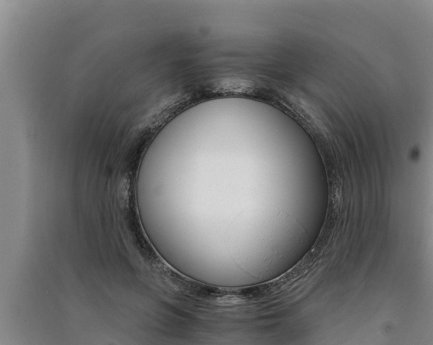 X0000091520551200708171012