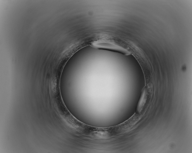 X0000091520552200708171012