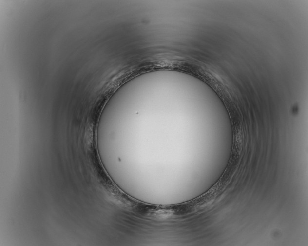 X0000091520554200708171012