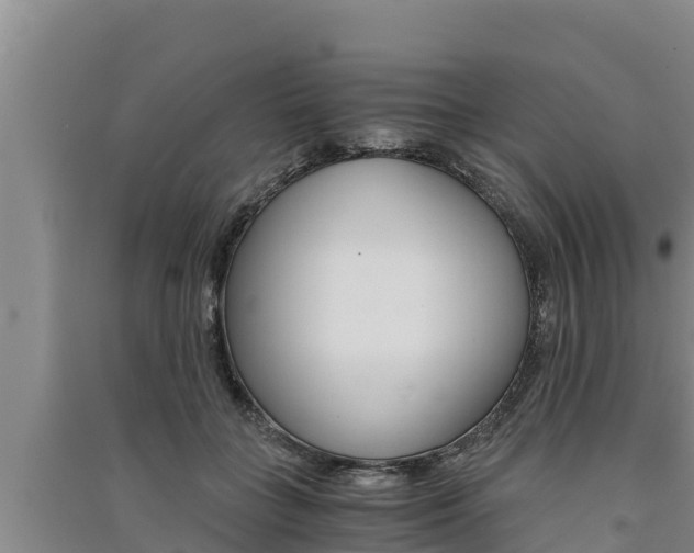 X0000091520555200708171012