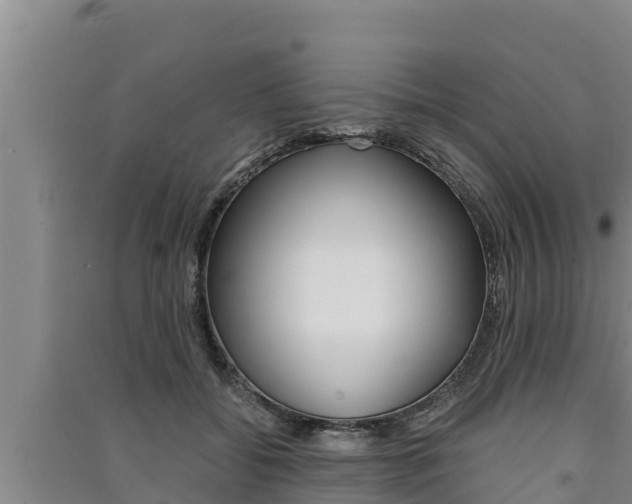 X0000091520556200708171012