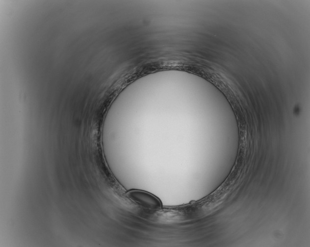 X0000091520557200708171012