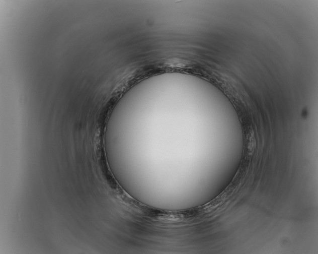 X0000091520559200708171012