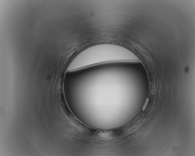 X0000091520560200708171012