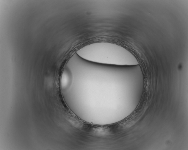 X0000091520561200708171012