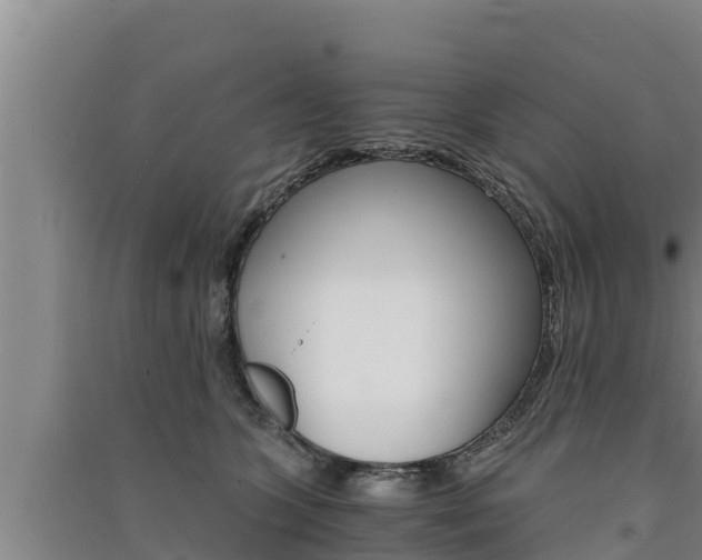 X0000091520563200708171012