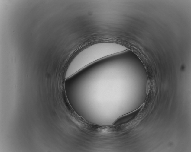 X0000091520564200708171012