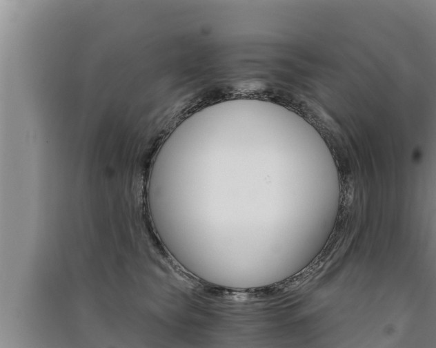 X0000091520565200708171012