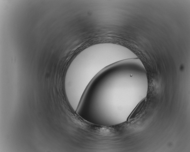 X0000091520566200708171012