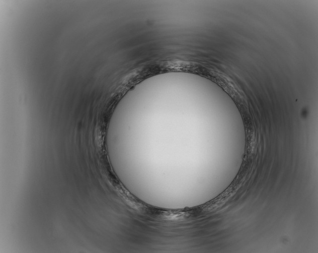 X0000091520569200708171012