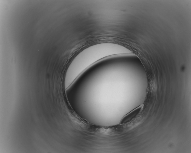 X0000091520570200708171012