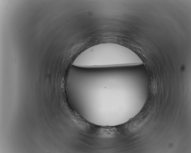X0000091520571200708171012