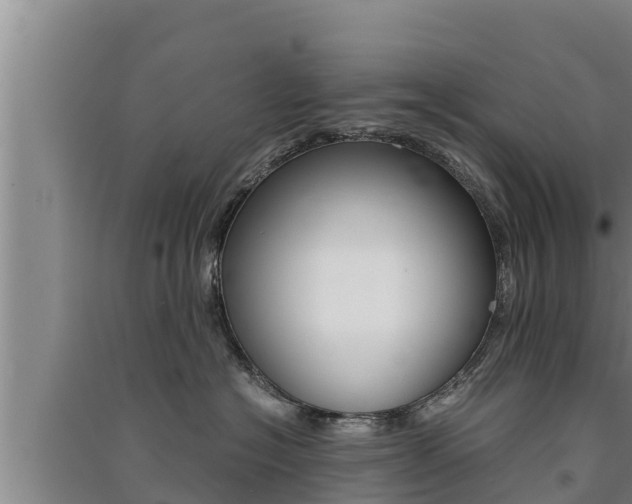 X0000091520574200708171012