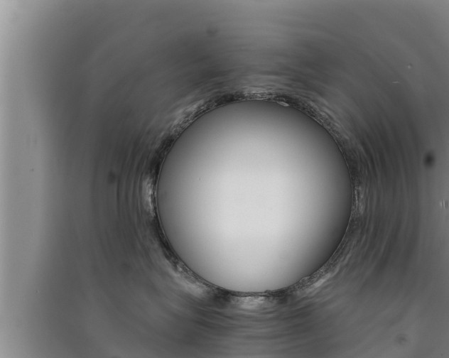 X0000091520575200708171012