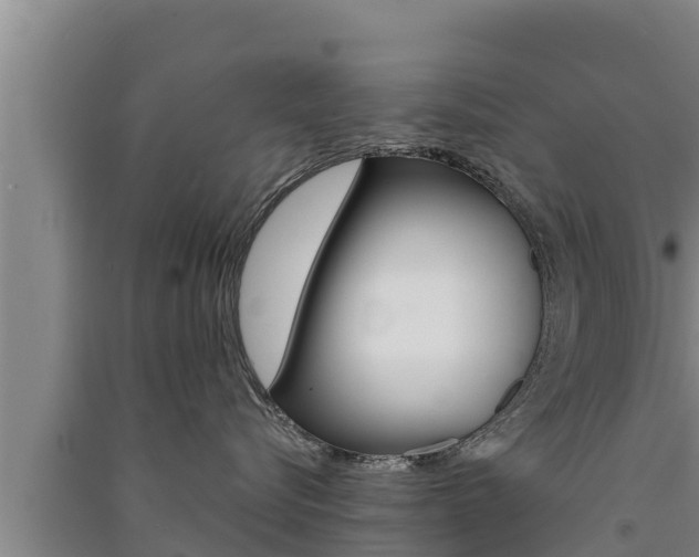 X0000091520576200708171012