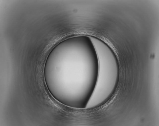 X0000091520577200708171012