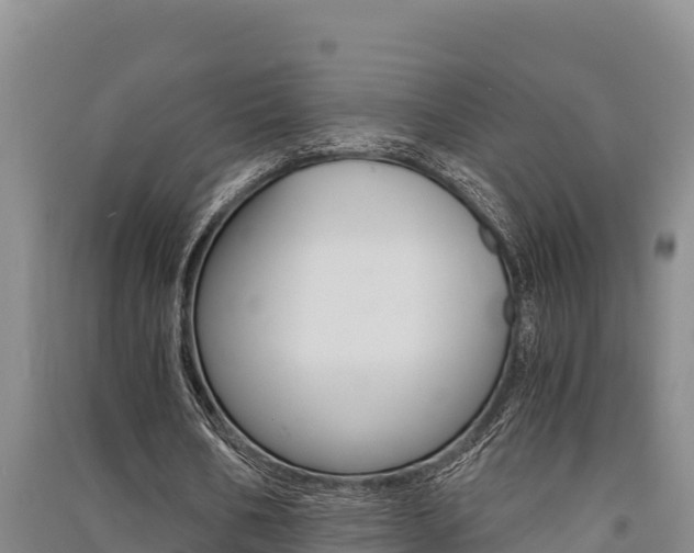 X0000091520578200708171012