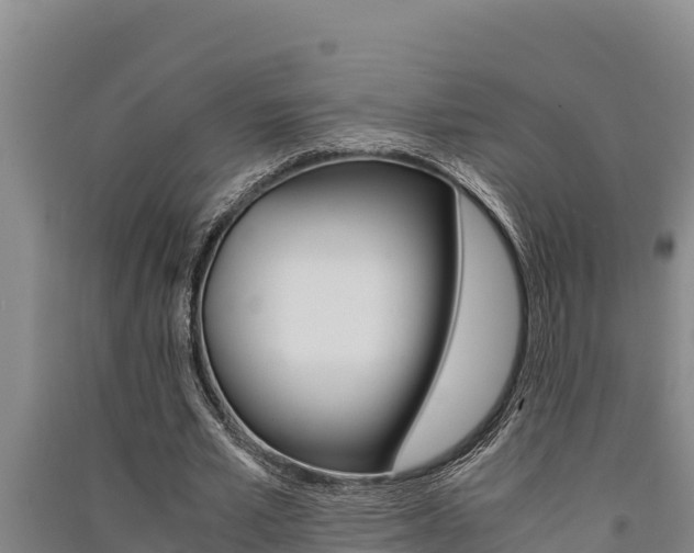X0000091520581200708171012