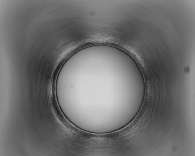 X0000091520582200708171012