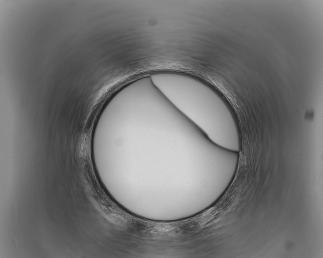 X0000091520583200708171012